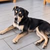 Klaus -Ein liebenswerter Kerl auf dem Weg ins Glück