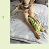 Maria (Nala) möchte endlich ankommen