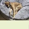 Maria (Nala) möchte endlich ankommen