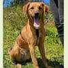 Maria (Nala) möchte endlich ankommen