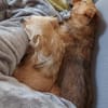 MÄXCHEN * sieht mit dem Herzen