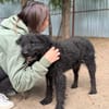 Gombi Liebevoller Senior sucht sein Happy-End!