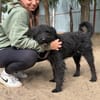Gombi Liebevoller Senior sucht sein Happy-End!