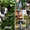 Käthe+Fritz, Herrchen verstorben suchen neues Zuhause