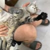 Kiki sucht tolles zu Hause