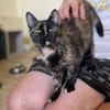 Marmo sucht Ihren Dosenöffner