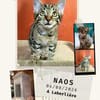 Naos