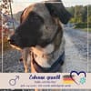Ilay sucht eine Familie für Immer