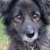 Charlotte  - Herzensmenschen gesucht