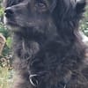 Charlotte  - Herzensmenschen gesucht
