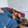 Freundliche Liddy sucht ihr Endzuhause