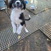 Kali liebt euch alle