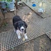 Kali liebt euch alle