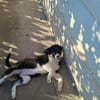 Kali liebt euch alle