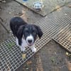 Kali liebt euch alle