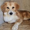 Lucy mit kleinem Handicap sucht