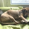 Joy - möchte endlich anfangen zu leben