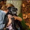 ❤ Manni auf der Suche nach seinem Für-immer-Zuhause 🐾