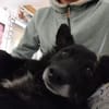 ❤ Manni auf der Suche nach seinem Für-immer-Zuhause 🐾