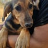 Amelie sucht mit Eifer ihr zu Hause