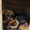 Amelie sucht mit Eifer ihr zu Hause