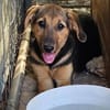 Amelie sucht mit Eifer ihr zu Hause