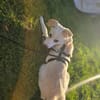 Malin sucht ihre Familie