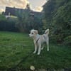 Malin sucht ihre Familie