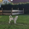 Malin sucht ihre Familie