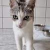 Hallo, ich bin die Amelie!