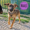 Maaji ein wundervolles Wesen