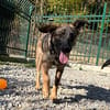 Maaji ein wundervolles Wesen