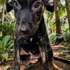 DUSTY