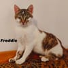 Rosie & Freddie Traumpärchen suchen Traumzuhause