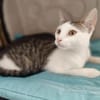 Rosie & Freddie Traumpärchen suchen Traumzuhause