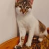 Rosie & Freddie Traumpärchen suchen Traumzuhause