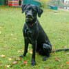 SPIKY: aufgeschlossen und verspielt
