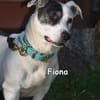 FIONA