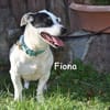 FIONA