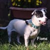 FIONA