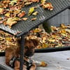 Max  Das Leben wartet. Worauf eigentlich noch!