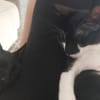 RAYO ET COSMO