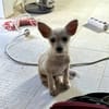 Viktor, un petit bijou