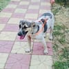 Josef sehr verschmust