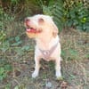 Gero sucht ein Zuhause