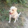 Gero sucht ein Zuhause