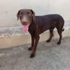 PIXEL (MARTINA)