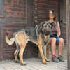 MOOSE (Maria)