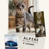 Alpine