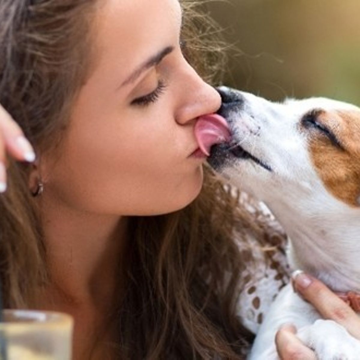 Elle Se Fait Baiser Par Un Chien Vous laissez votre chien vous lécher le visage ? Attention, danger !